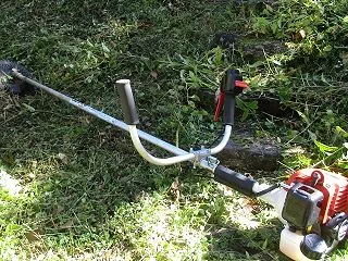 いよいよ全刈り