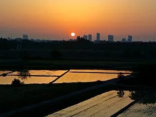 アーカイブ集：野鳥撮影開始2006年以降…