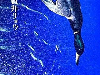 「正欲」朝井リョウ
