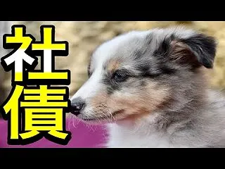 ETFの収益分配について詳しく解説！
