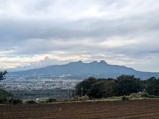 今日の道ばた 循環器病院ハーフ