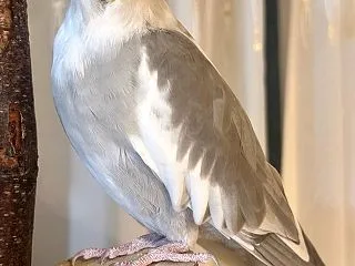 あたしが赤ちゃんだったころ