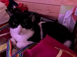 今日はなんだか変なお天気の1日だったよね…