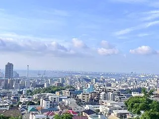 ラジオ体操が毎日の習慣に！1日3分半から…