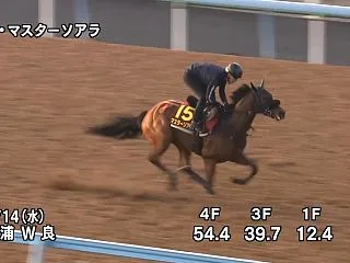 【秋華賞2026】追い切り・コメント/調…