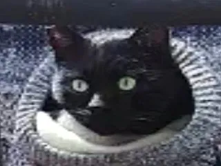 油断していたら