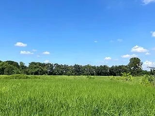 コンケン出張は時間との勝負