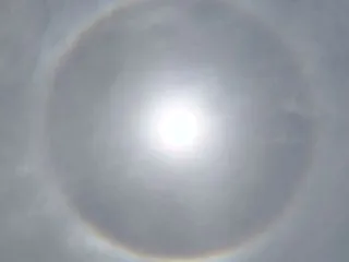 ぼちぼち動いてみる
