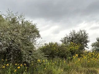 海の森公園へ