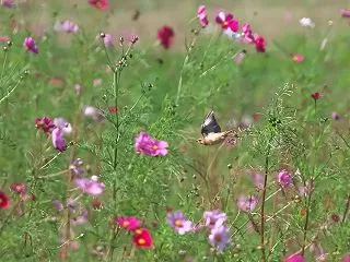 コスノビ 10/14記