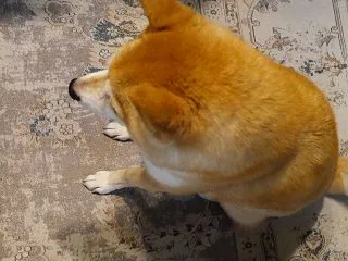 今年も・・