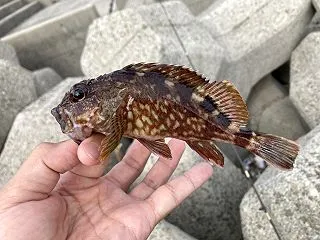 釣りバカ日誌４。