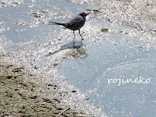 父の検診の付き添い