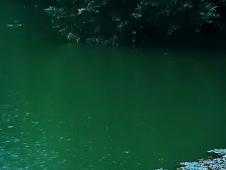 雨の日の池