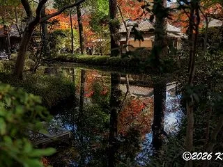 2025年11月24日、α7C IIとO…