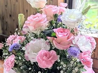 その歳には見えない高齢母の入院