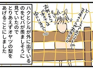 ウマコの我慢強さ