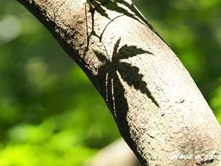 真っ赤にな～～れ