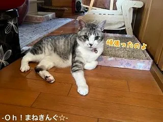 お利口さんでした(*^.^*)