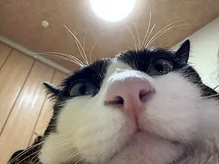☆「甘えん坊の寂しん坊」