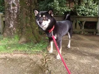 お里に行ってきたよ！