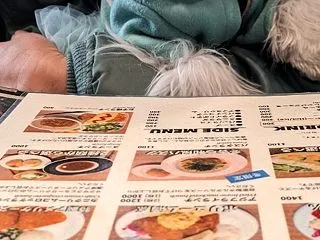 チワマルのピピちゃんと関内deワンコ店内…