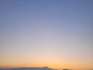 最後のサツマイモ収穫