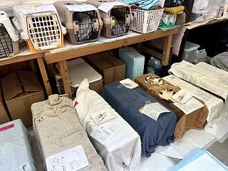 ★ 香川出張一斉不妊手術 10月のご報告
