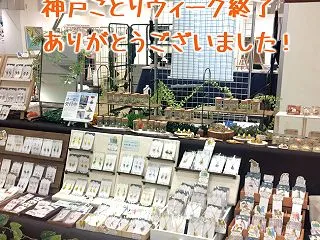 「神戸ことりウィーク」に出展してきました…