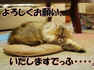 7年前②