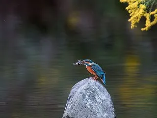 短時間で良き画が♪