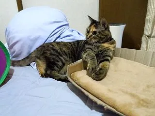 翌日も♪(*´-`*)