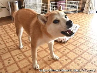 今月もバッチリで～す♪