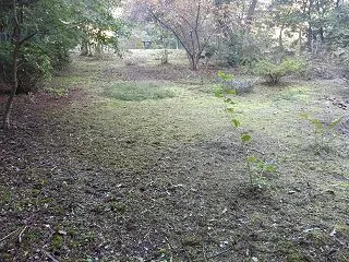 高台草刈