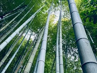 さあ、日常に戻ろう