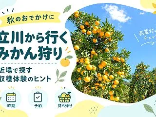 みかん狩りは武蔵村山市へ｜子どもと探検気…