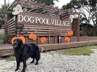 キャンプ2026 ＠DOG POOL V…