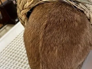 うみが遊びに来た2