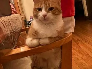 人生について考えてる