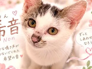 里親様募集中