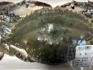 渡り蟹