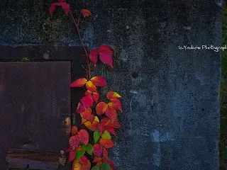 居心地