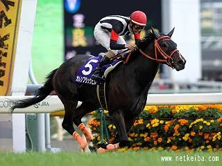 振り返りからの地方競馬