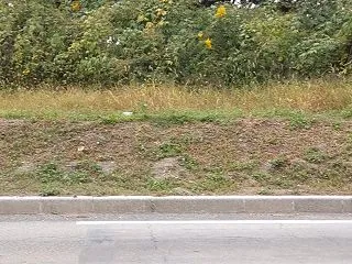 今日は手抜きのブログですが、ルヴァンカッ…