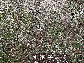 そのままのふとん四組子ら帰り家は鎮まる …