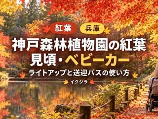 神戸森林植物園の紅葉2026｜見頃・駐車…