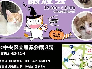 次回のねこざんまい譲渡会は10/25です