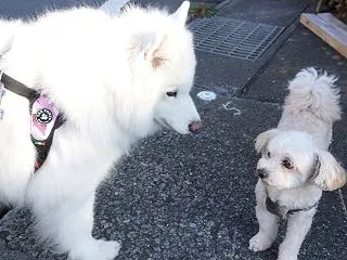 遭遇率No1のアンディくん♪