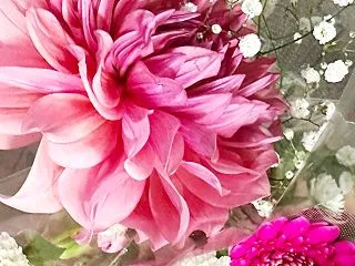 今日も心に花束を！