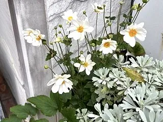 2時間のお散歩